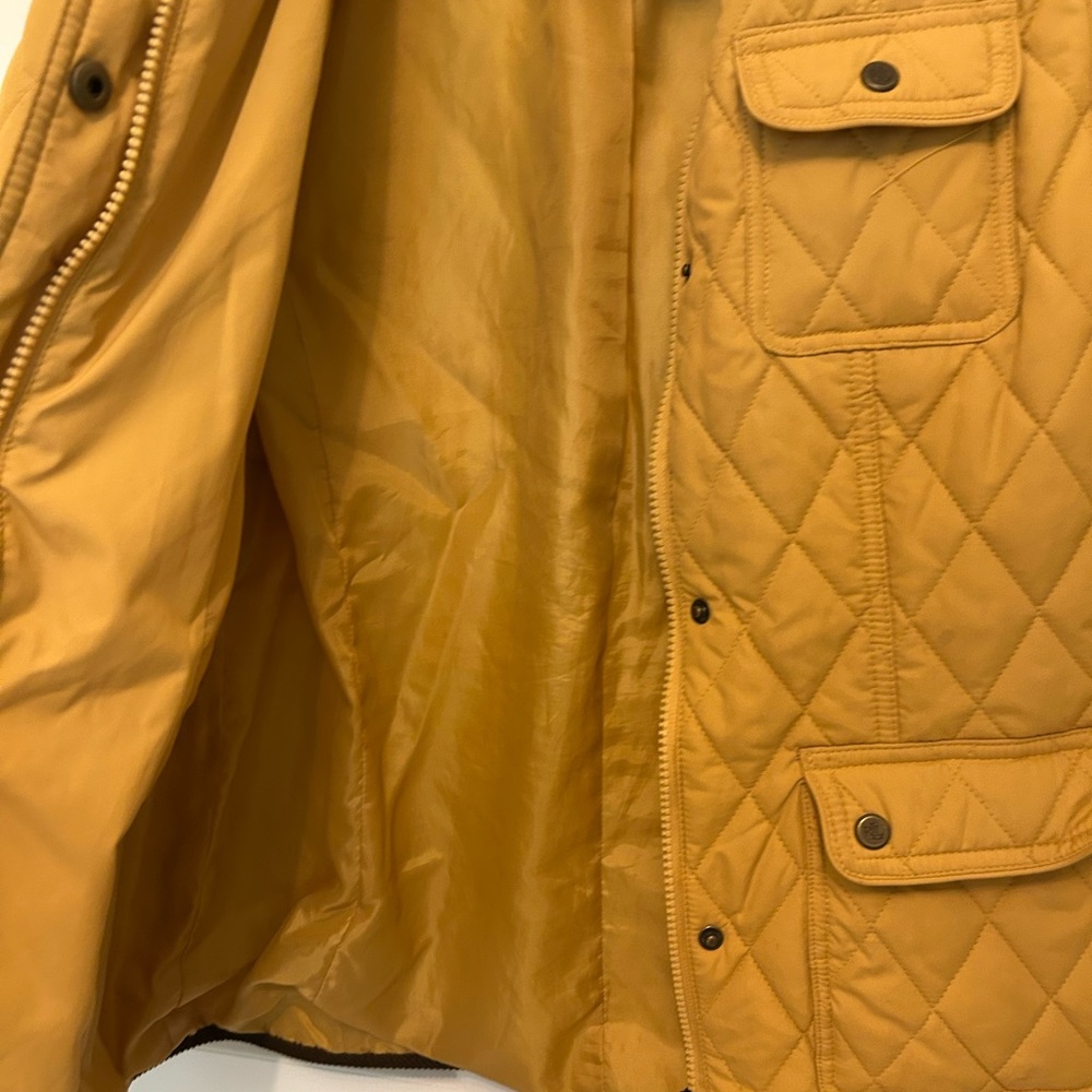 Stylish jacket for women